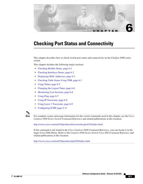 Checking Port Status and Connectivity .